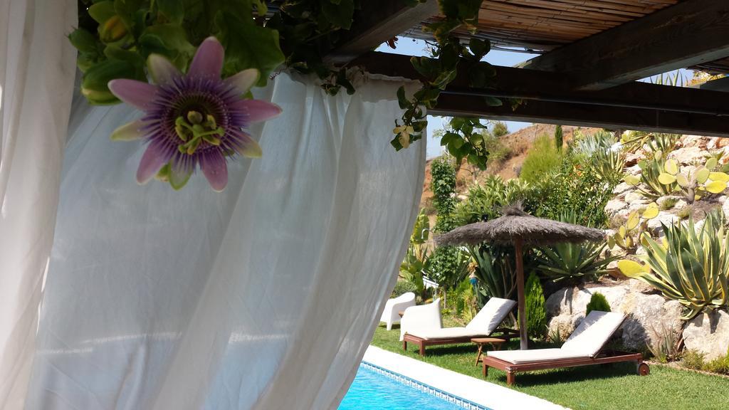 Bed & Breakfast | Guest House Casa Don Carlos Alhaurín el Grande Extérieur photo